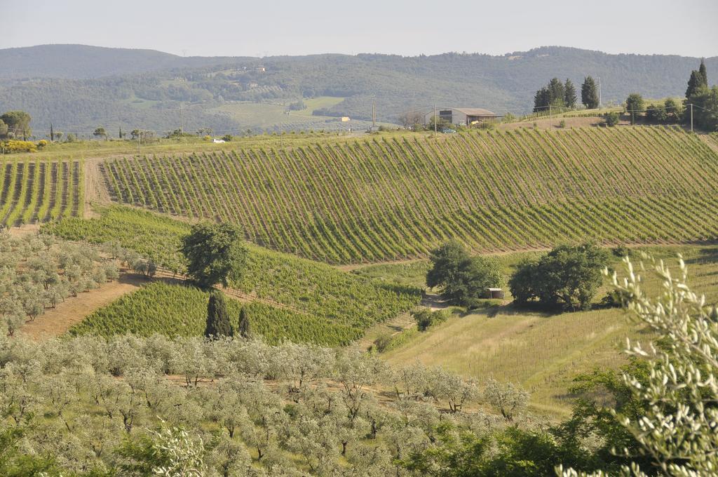 Agriturismo Renai E Monte II Gambassi Terme Eksteriør billede
